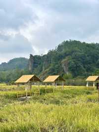 帶爸媽遊仙都|人均500+玩轉山水秘境 這份攻略太省心啦!