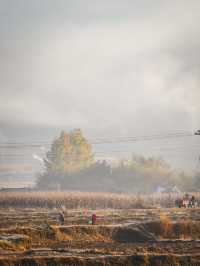 茶馬古道上的人間煙火 沙溪&劍川治癒系小鎮遊