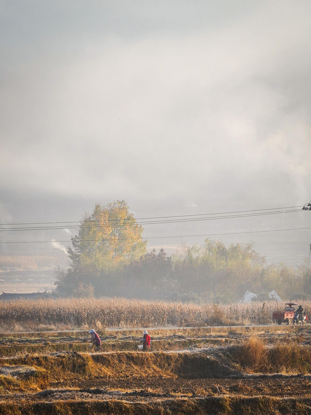 茶馬古道上的人間煙火 沙溪&劍川治癒系小鎮遊 茶馬古道上的人間煙火 沙溪&劍川治癒系小鎮遊