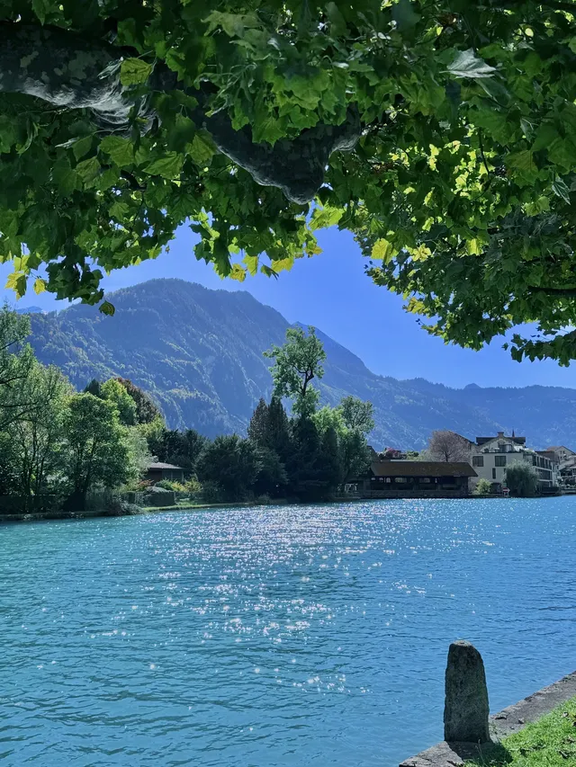 瑞士因特拉肯first山&圖恩湖兩日遊記