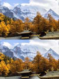 稻城亞丁|沖古寺和神秘的經幡森林