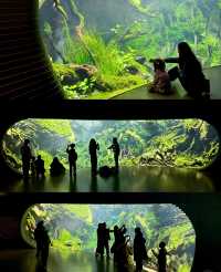 躲進城市雨林秘境