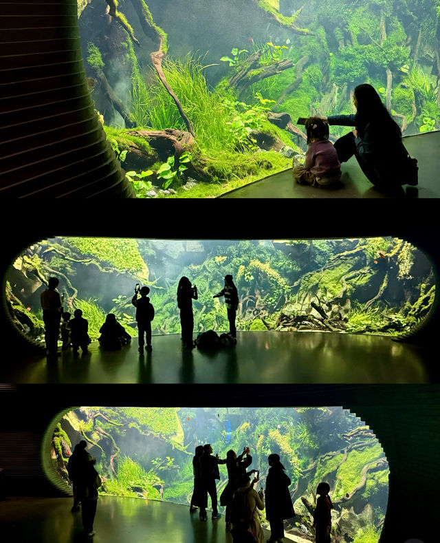 躲進城市雨林秘境