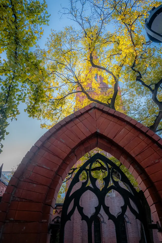 那道光撒向聖三一的銀杏上,也照進我的心裡 那道光撒向聖三一的銀杏上,也照進我的心裡