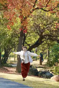 柳州 | 深秋的烏桕樹是白天裡綻放的煙火