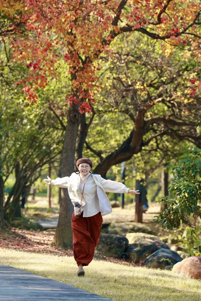 柳州 | 深秋的烏桕樹是白天裡綻放的煙火