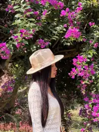 西雙版納的中科院植物園yyds！