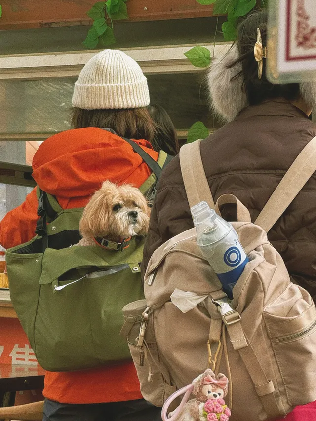 理小路｜近期快衝！下雪的川西可好拍了！