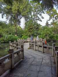 濟南寶藏免費景點!五龍潭公園遊玩全攻略