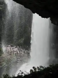 溫州文成|百丈漈