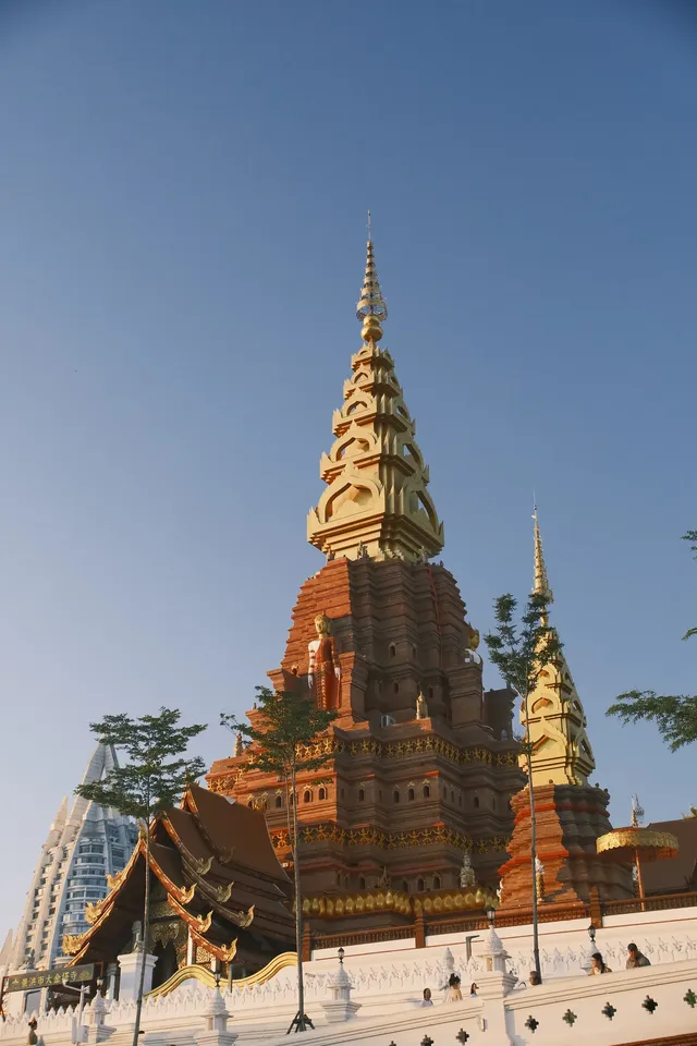 12月一定要帶孩子來西雙版納 12月一定要帶孩子來西雙版納