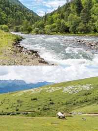 當我在雨季的窗口期來到川西秘境…