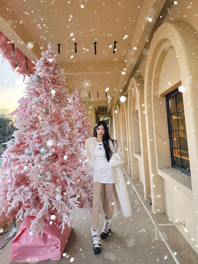 長春聖誕必衝|西西里莊園粉色聖誕浪漫過載 長春聖誕必衝|西西里莊園粉色聖誕浪漫過載