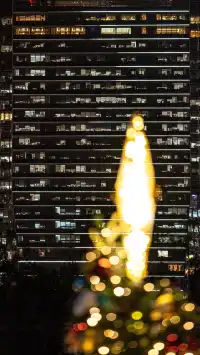 香港|12月,期待日落晚風中的海邊聖誕樹