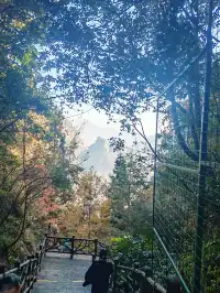 每週一山百丈漈帶娃闖進瀑布的武俠世界