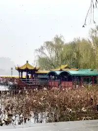 老舍：上帝把秋和冬全賜給了濟南