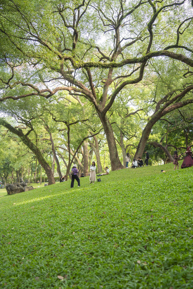 南寧綠野仙蹤的浪漫,來感受這裡的清新綠 南寧綠野仙蹤的浪漫,來感受這裡的清新綠