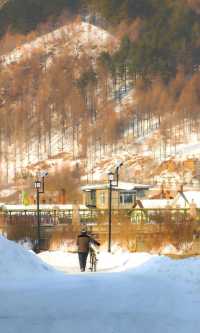 零下 30℃的北極村,除了極寒還有什麼?