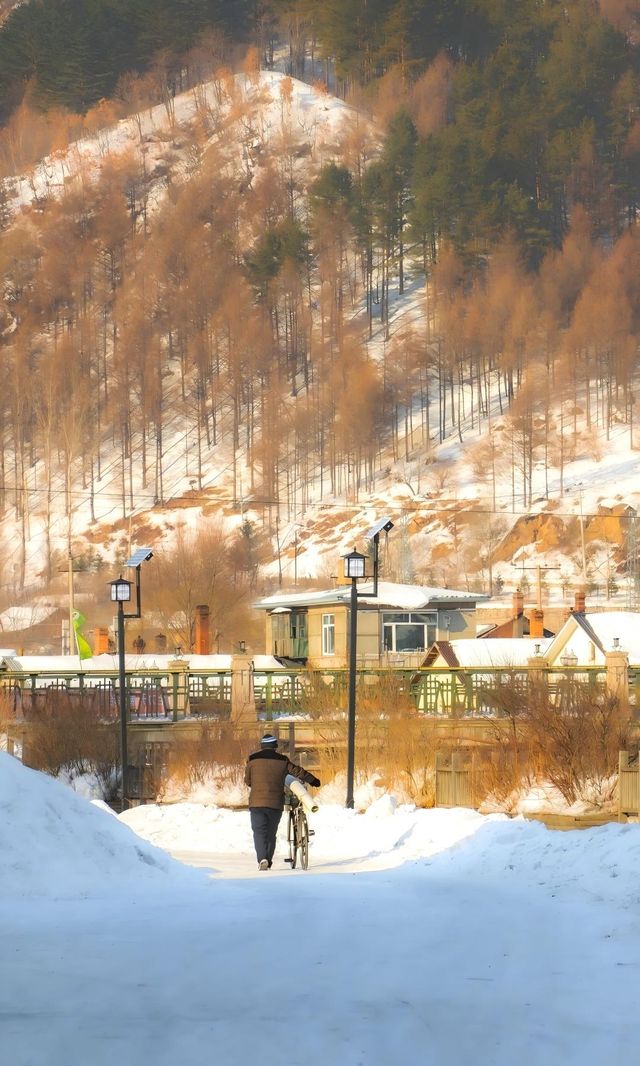零下 30℃的北極村,除了極寒還有什麼? 零下 30℃的北極村,除了極寒還有什麼?