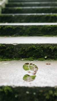 楓涇古鎮|滬浙交界1500年的酒香秘境,沉浸式打卡江南活態博