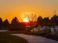 上海秋日出遊優選地