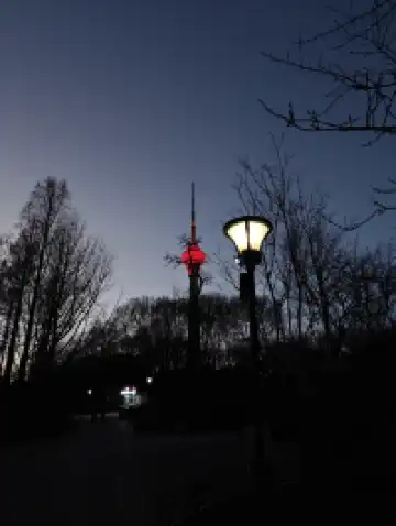 相約在下個櫻花盛開的季節＆打卡玉淵潭公園