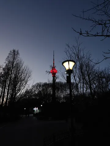 相約在下個櫻花盛開的季節＆打卡玉淵潭公園