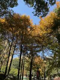 一座公園愛上一座城|我見到駱賓王詩裡的鵝