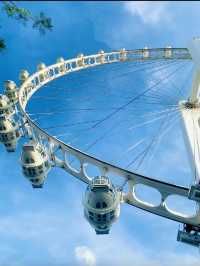 藏在深圳華僑城的慢生活天堂拍照打卡聖地!