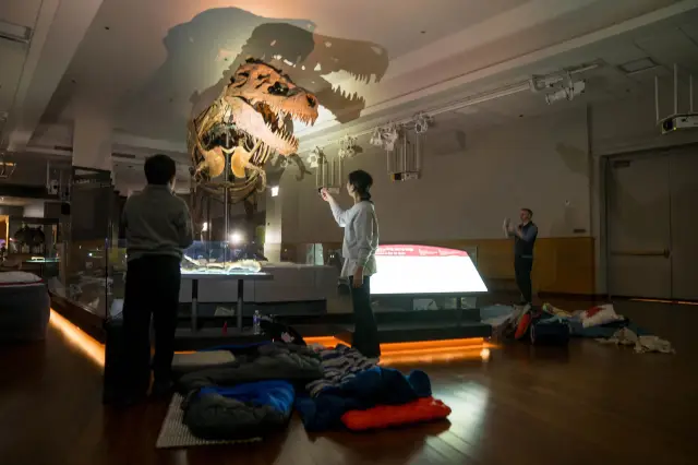 Sleepover with Dinosaurs - Field Museum