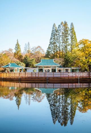 합비 사람들의 어린 시절과 낭만이 모두 이 1800년 된 공원에 숨겨져 있어요!