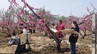 Xiao County Provincial Games Spring Limited