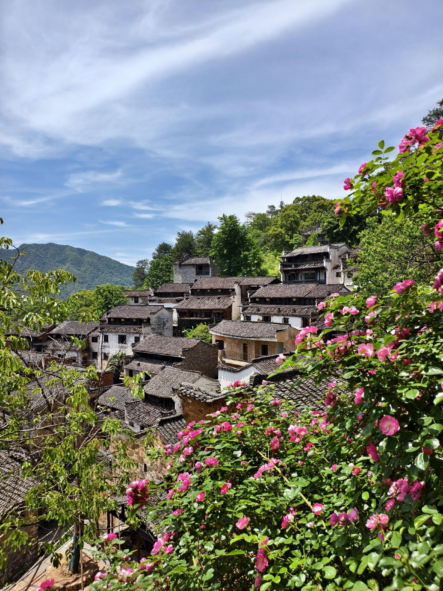 2026年 Huangling Shaiqiu Meisu (Huangling Scenic Area Branch)観光 