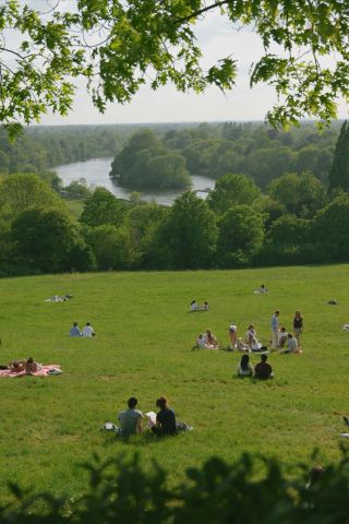 Must-Visit Healing Park in London