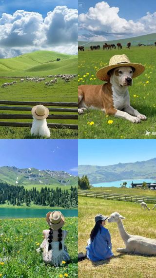 暑い暑い助けて