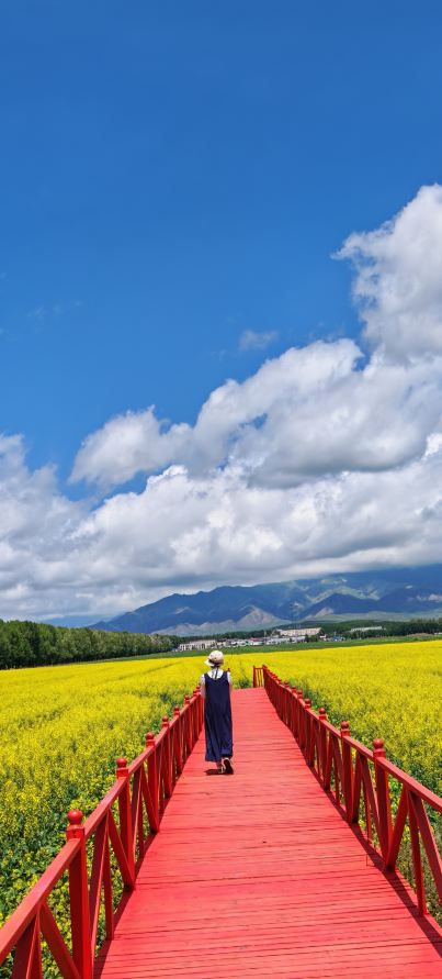 Beautiful Xinjiang] A must-visit in northern Xinjiang! This