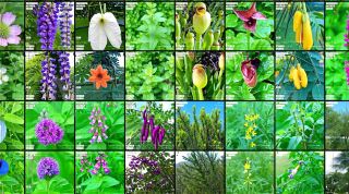 The world’s first AI art museum DATALAND debuts in Los Angeles