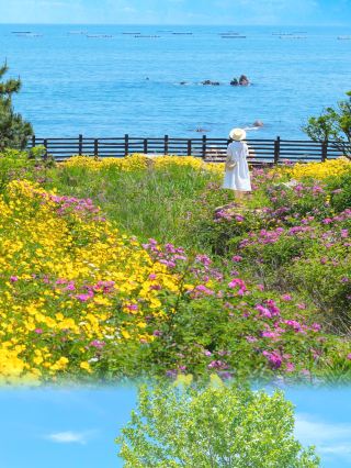 Later, I told everyone how romantic Qingdao is in late spring and early summer