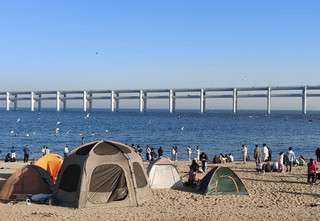 大連5個週末必去海濱公園，全免費