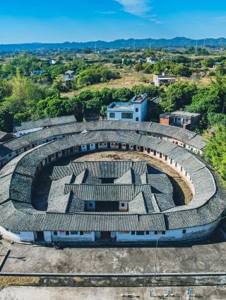 Meizhou's rarest! A 600-year-old oval weilongwu