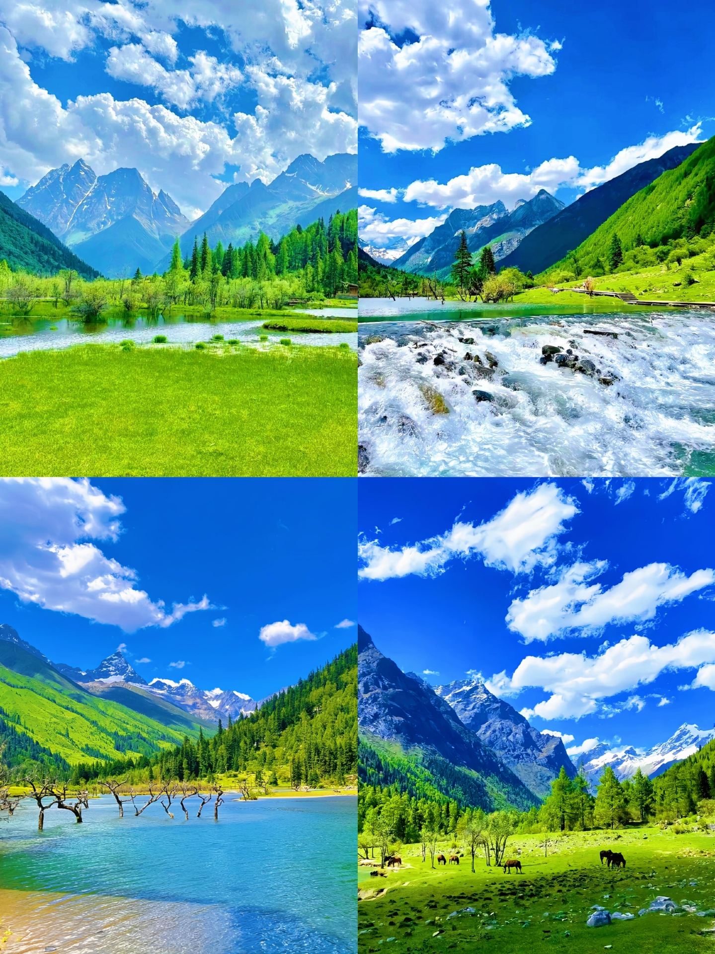 Dãy núi Siguniang, "Đông Alps", là đỉnh của những ngọn núi phủ tuyết trắng ở phía tây Tứ Xuyên.