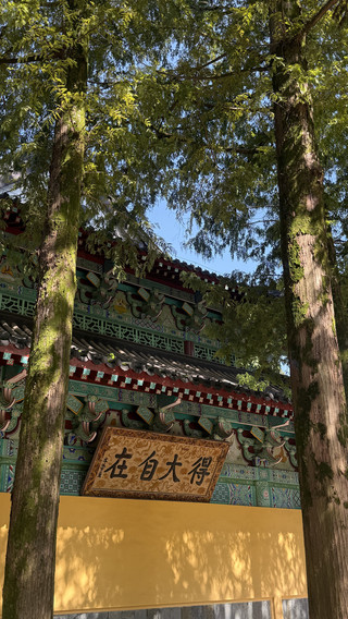 Kuil Huangmei Wuzu | Menjelajahi Asal Usul Buddhisme Zen dan Bertemu dengan Patung Singa Batu yang Menggemaskan