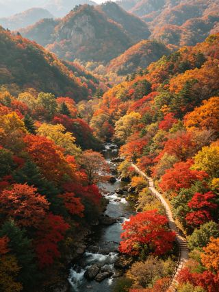 본계｜9월 동북 단풍의 비밀 장소, 온 산이 물든 숲이 너무 힐링해요