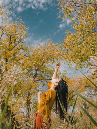 Xinjiang Populus Euphratica Forest Road Trip | Autumn is a season that amplifies perception