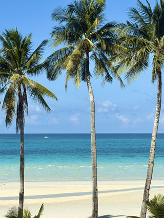 This guide for taking your parents to the Philippines is truly worry-free and perfect for photos