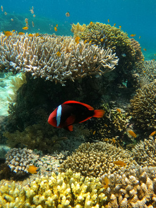 7-day Philippines family trip guide: tried, tested, and hassle-free