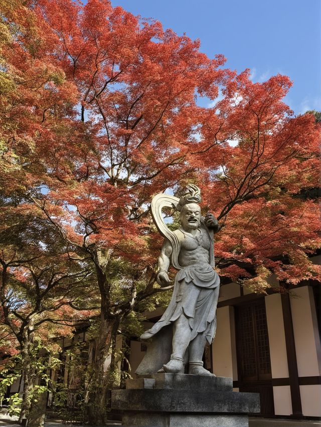 十一去日本超合適,這份攻略快收好