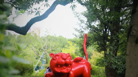 During the National Day holiday, some people travel to cities where others live, to see the city life and the greenery of parks. We walked to Yuehu Park and found a spot by the lake at Yuehu Tea House — traveler post in Ningbo