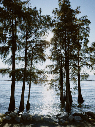 S Bay: A Trendy Photo Spot on Erhai Lake
