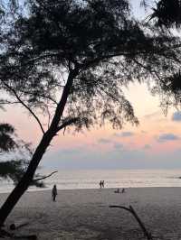 สะพานไม้ หาดในทอน 🌴🌱🏝️